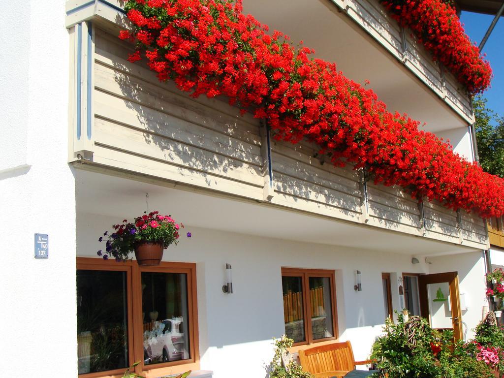 Drei Tannen Hotel Bodenmais Ngoại thất bức ảnh